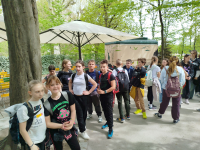 IMG_20250417_111853