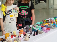 IMG_20250417_121642