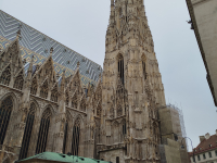 IMG_20250417_165334
